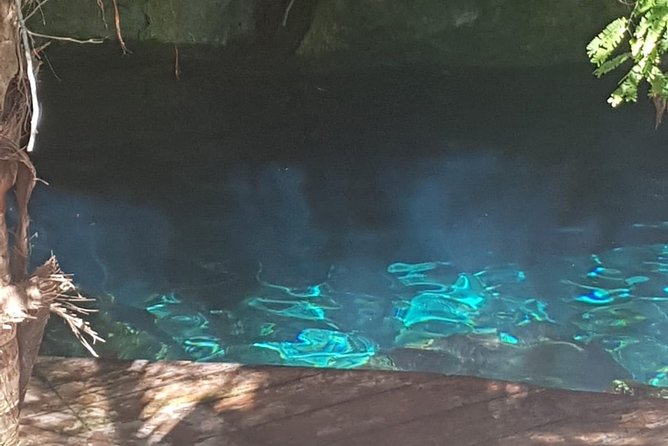 Tulaka Cenote Experience - Timing, weather, and cancellation details