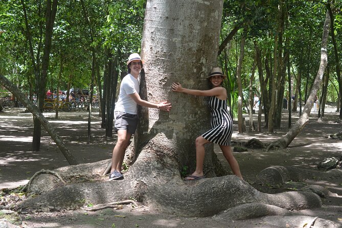 TULUM 4x1 : Archaeological Site, Cenote, 5th Avenue and lunch - A regional buffet and authentic Maya flavors