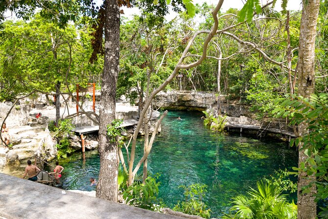 Tulum Akumal Snorkel Tour and 4 Cenotes Small Group All Fees Incl - What the small van changes