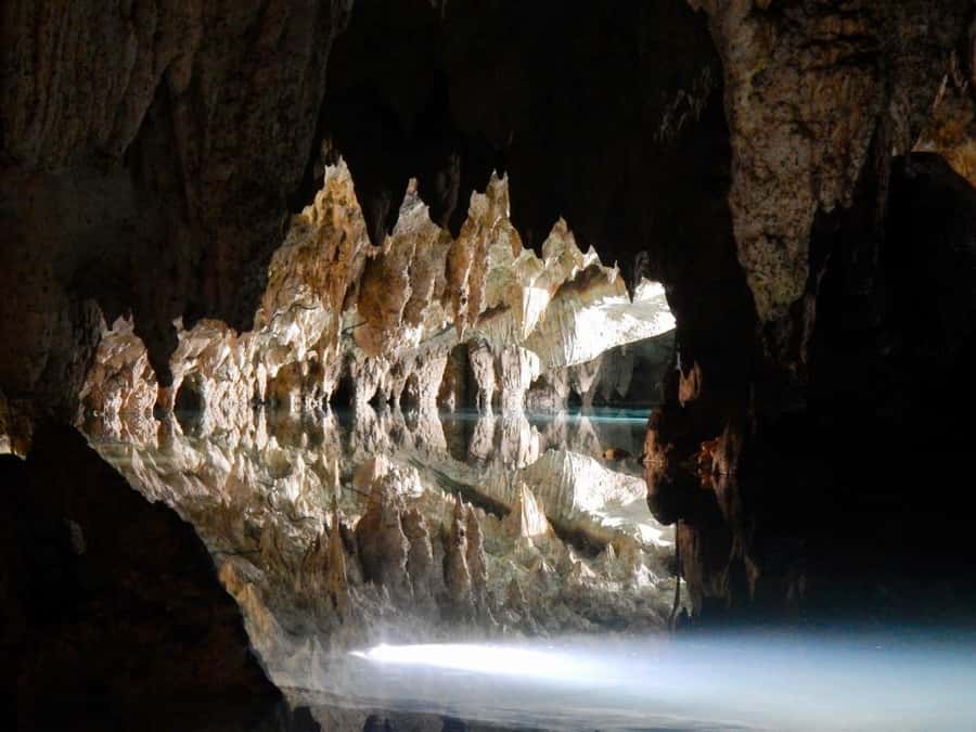 Tulum: ATV, Cenote, Zip lining and Rappelling Experience - The cenote is the calmest, most unusual stop