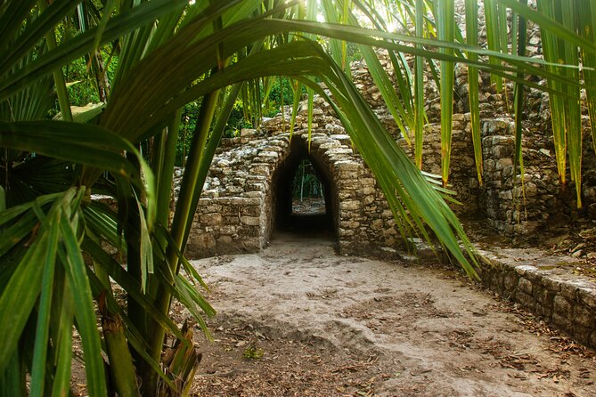 Tulum, Coba & Cenote All-Inclusive Tour - What the $118.50 price really covers