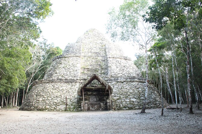 Tulum, Coba, Cenote & Playa Del Carmen! Full Mayan Experience - Playa del Carmen and Fifth Avenue: a quick final stop