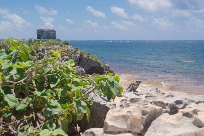 Tulum & Coba Private Tour - A private guide can make the difference