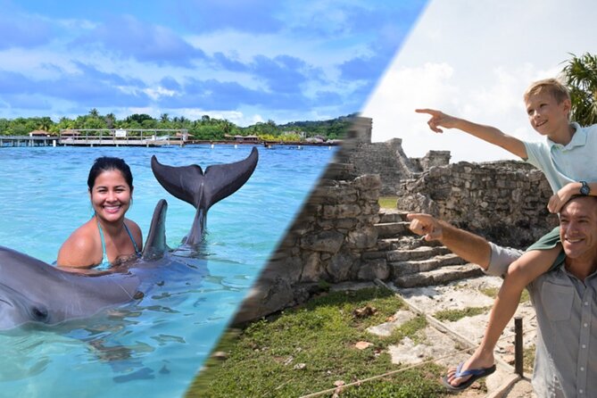 Tulum & Dolphin Connection from Cancun - Key points to know before booking
