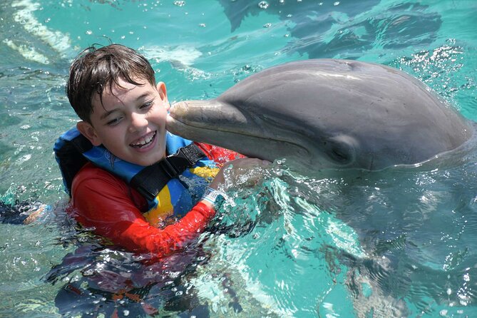 Tulum & Dolphin Connection from Cancun - Who should book this Tulum and dolphin tour?
