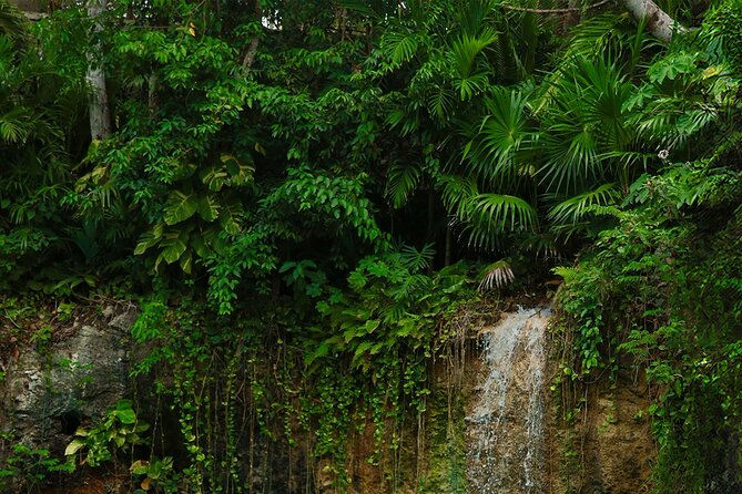 Tulum Essence Art and Photography Tour - Ven a la Luz: 30 minutes with Tulum’s famous sculpture