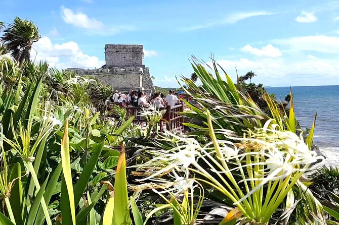 Tulum Express from Cancun and Riviera Maya - Key points to know before booking