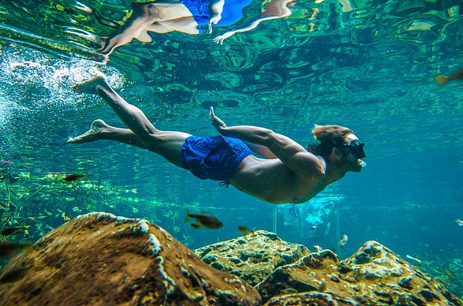 Tulum Ruinas and Tortugas Express - Who will enjoy this outing most?