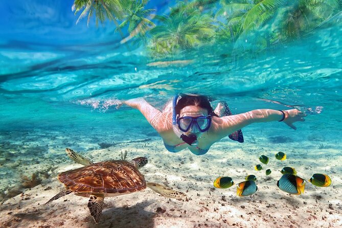Tulum Ruins and Turtles Express - Key points to know before booking