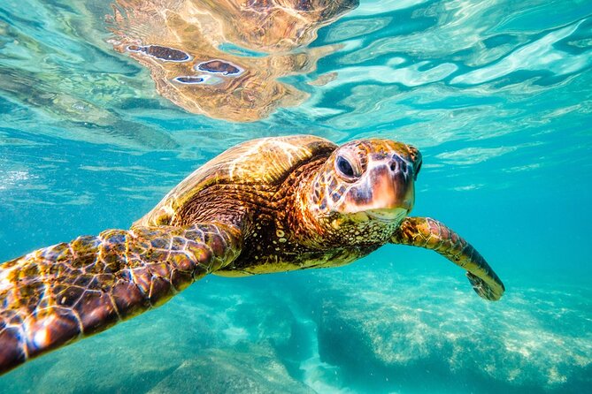 Tulum Ruins and Turtles Express - The schedule is efficient, but not generous