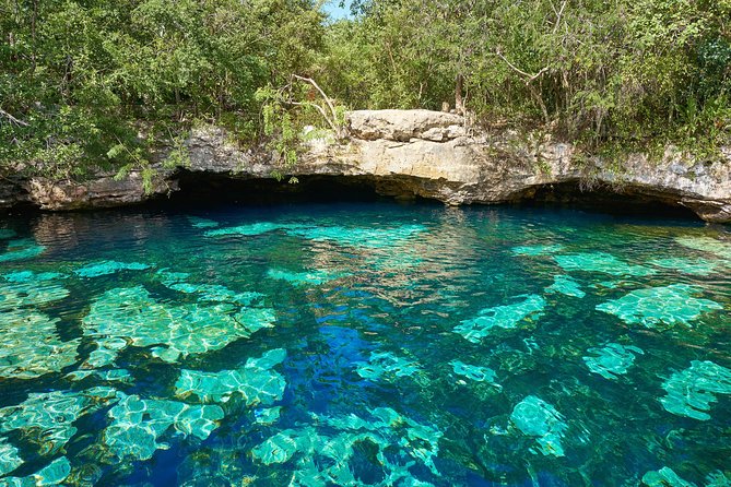 Tulum Ruins + Cenote Express - A practical two-hour visit