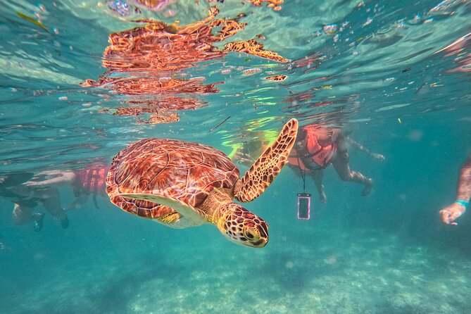 Tulum Ruins, Sea Turtles & Cenote Swim Adventure Tour - Why this Cancun day trip works