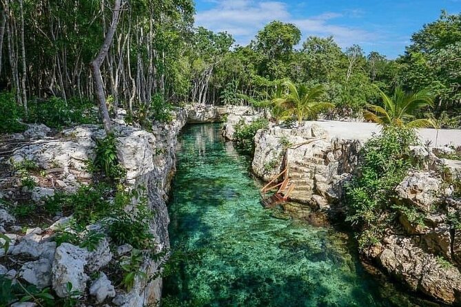 Tulum Ruins visit cenotes house turtle and Sculpture Come to Light - One hour on Playa del Carmen’s Fifth Avenue