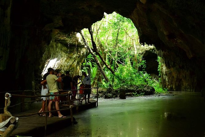 Turtles and Cenote from Riviera Maya - Why the small group limit matters