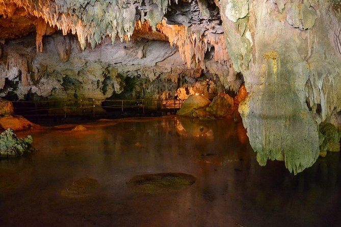 Turtles and Cenote from Riviera Maya - A good fit for families and active couples