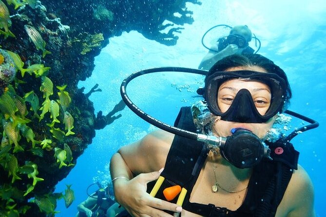 Two Dives and Class for Begginers Divers in Cancun - Key points for your Cancun underwater day