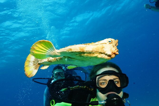 Two Dives and Class for Begginers Divers in Cancun - Starting at the Cancun marina at 10:00 a.m.