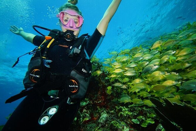 Two Dives and Class for Begginers Divers in Cancun - Second stop: Manchones Reef