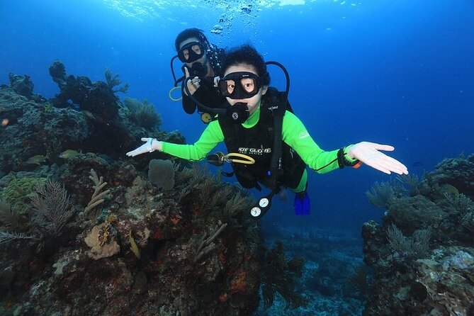 Two Dives and Class for Begginers Divers in Cancun - Guides who focus on calm instruction