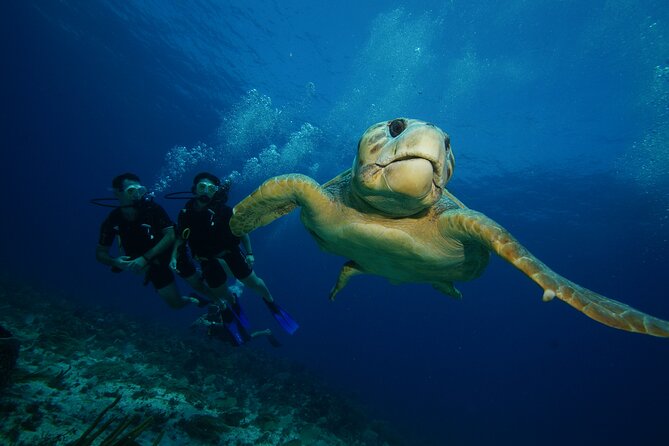 Two Dives and Class for Begginers Divers in Cancun - What the $165 price covers