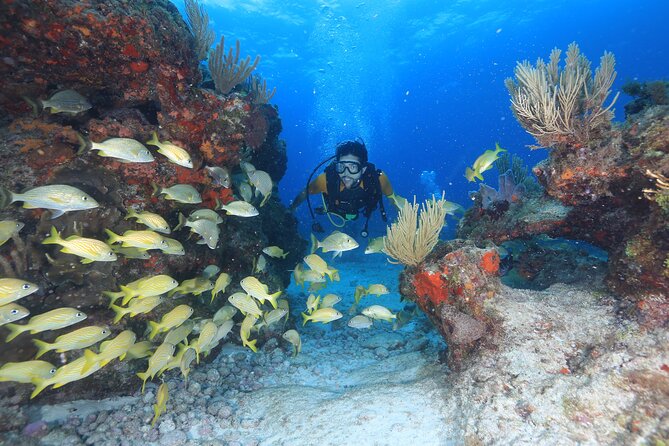 Two Tanks Scuba Diving for Beginners in Cancun - The 8:00 a.m. start and pool lesson