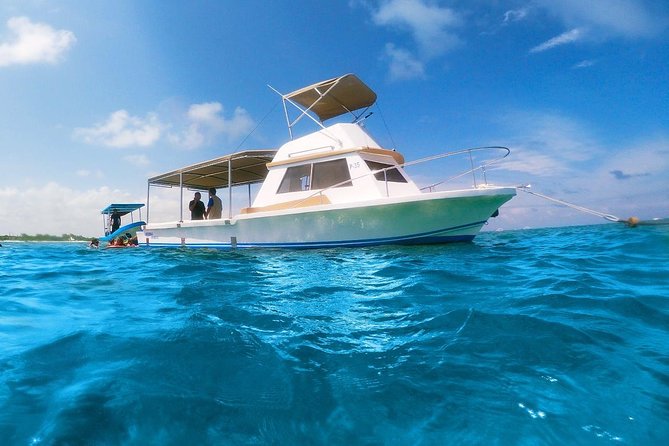 Ultimate 5x1 Combo with ATV, Ziplines, Cenote & Reef Snorkeling - Six ziplines, three bridges, and a jungle course