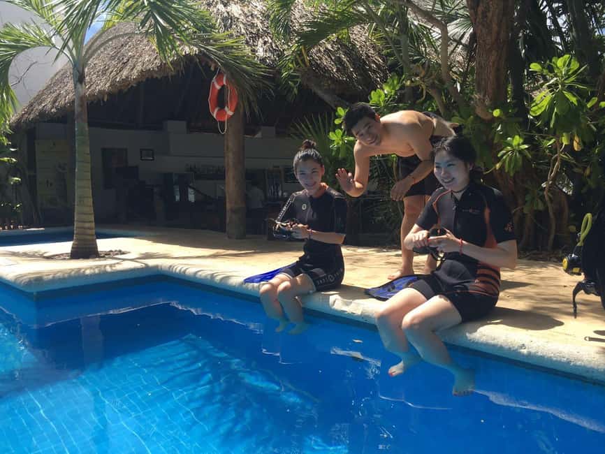 Underwater Museum Musa : SCUBA DIVING FOR BEGINNERS - The reef outing and marine life