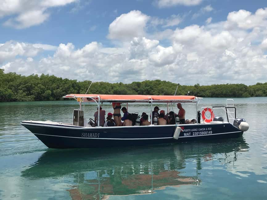 Underwater Museum Musa : SCUBA DIVING FOR BEGINNERS - Timing, comfort, and the possibility of a changed plan