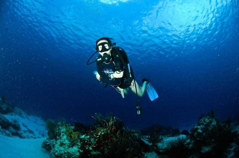 Underwater Museum Musa : SCUBA DIVING FOR BEGINNERS - Who will get the most from this experience