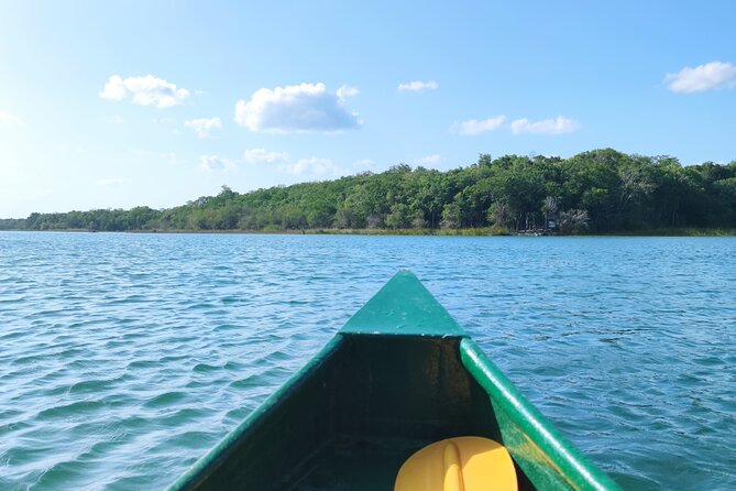 Unforgettable Journey: Coba, Monkey Reserve, and Mayan Cenote - Who will get the most from this excursion