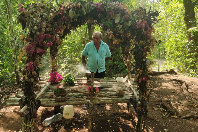Unforgettable Journey: Coba, Monkey Reserve, and Mayan Cenote - Should you book Coba, Punta Laguna, and Cenote Esmeralda?