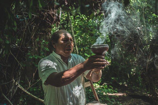 Unforgettable Journey: Coba, Monkey Reserve, and Mayan Cenote - Meeting spider monkeys at Punta Laguna