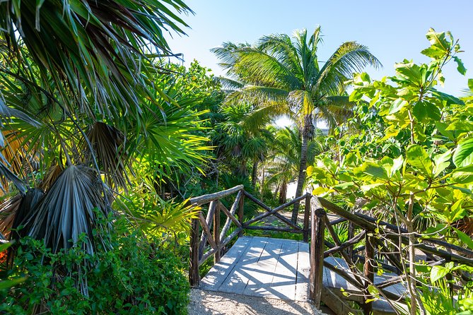 Viator Exclusive: Tulum Ruins, Reef Snorkeling, Cenote and Caves - Transport, group size, and timing
