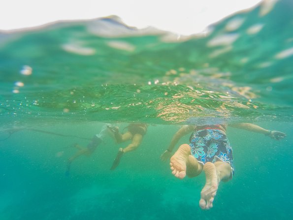 Viator Exclusive: Tulum Ruins, Reef Snorkeling, Cenote and Caves - Should you book it?
