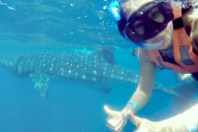 Whale Shark Adventure in Isla Mujeres and Cancun - Group size, pickup, and meeting points