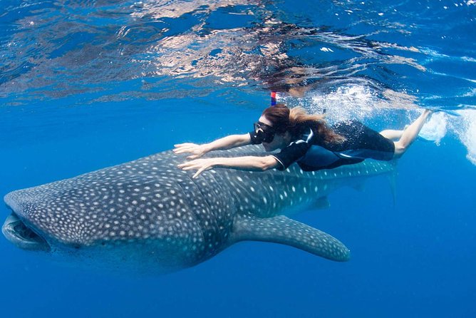 Whale Shark from Cancun, Riviera Maya and Tulum All Inclusive - The Isla Mujeres stop at Playa Norte