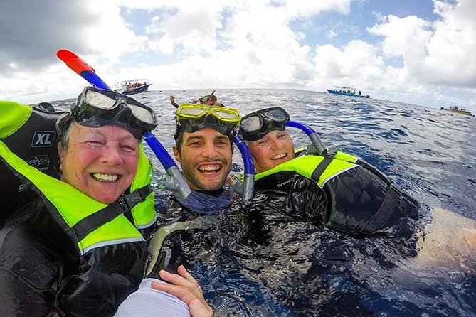Whale Shark Tour from Cancun, Playa del Carmen, Tulum and Riviera Maya - Why the whale shark encounter is worth the early start