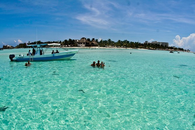 Whale Shark Tour from Cancun, Playa del Carmen, Tulum and Riviera Maya - Isla Contoy waters and the reef stop near Isla Mujeres