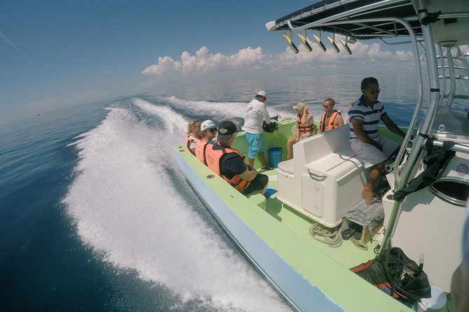 Whale Shark Tour from Cancun, Playa del Carmen, Tulum and Riviera Maya - What the $199 price really covers
