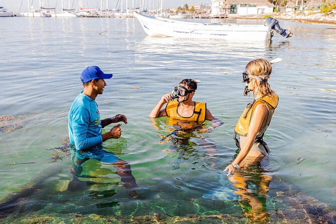 With Turtles, Shipwreck, Cenote, and Reef and Transport Included - What the Cancun snorkeling trip is really like