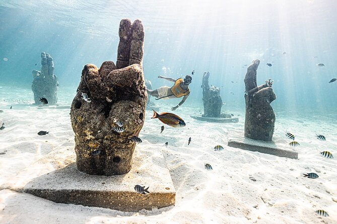 With Turtles, Shipwreck, Cenote, and Reef and Transport Included - Why the 10-person limit changes the experience