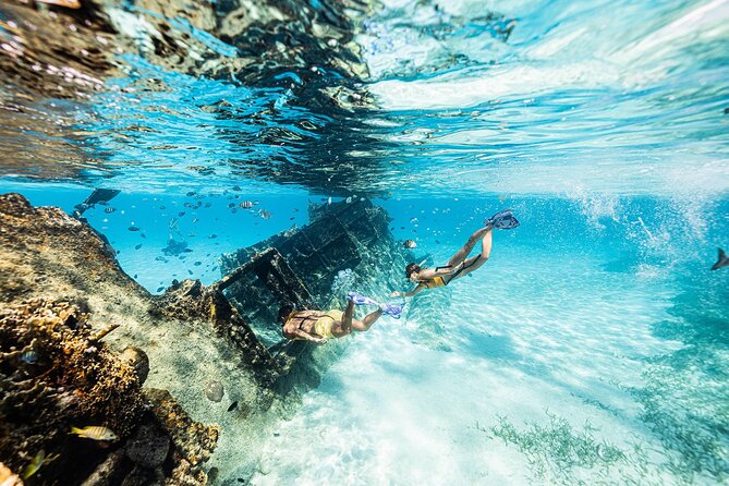 With Turtles, Shipwreck, Cenote, and Reef and Transport Included - Timing, effort, and the real cost