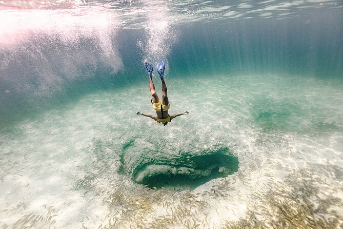 With Turtles, Shipwreck, Cenote, and Reef and Transport Included - What to bring and what to leave behind