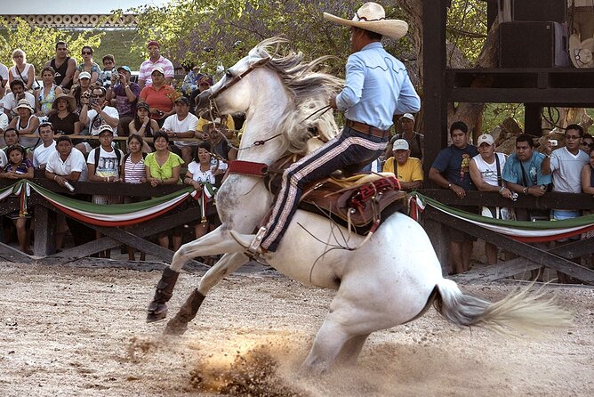 Xcaret Park Day Tour & Night Show with Transportation - Mayan ruins and cultural displays beyond the water
