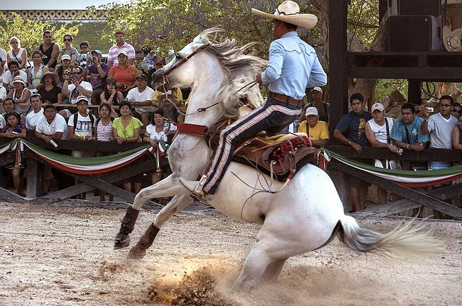Xcaret Park Day Tour & Night Show with Transportation - Why the Night Espectacular Show changes the schedule