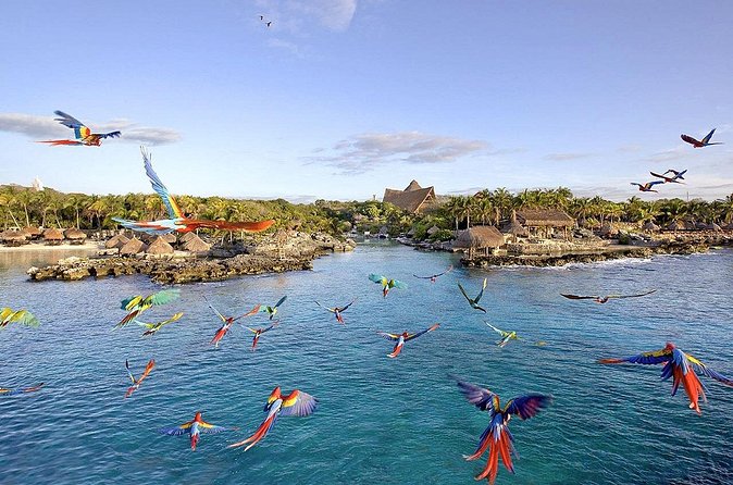 Xcaret Park Day Tour & Night Show with Transportation - Booking, cancellation, and day-of planning
