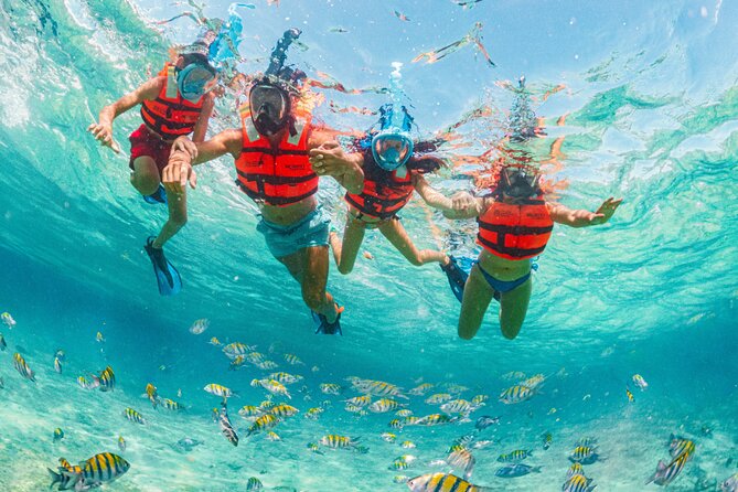 Xcaret Park Day Trip, transportation and Cultural Night Show - Xcaret Basic or Xcaret Plus?