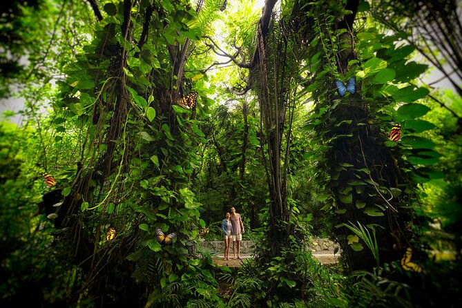 Xcaret Park Day Trip, transportation and Cultural Night Show - Which paid activities deserve consideration?