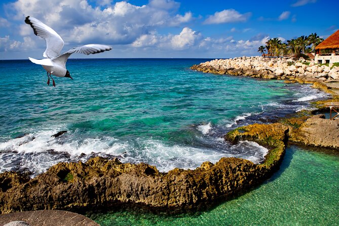 Xcaret Park Plus Tour! Nature, Culture and Nightshow from Cancun - Butterfly Pavilion, Aviary, and Aquarium