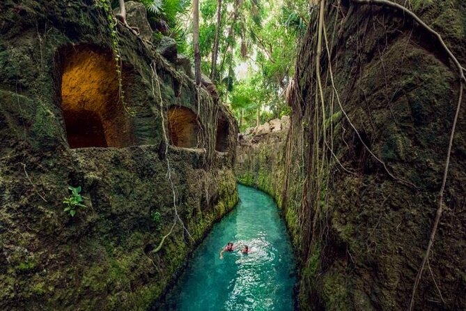Xcaret Park Tickets Roundtrip Included from Cancun - Basic or Plus: which ticket gives better value?